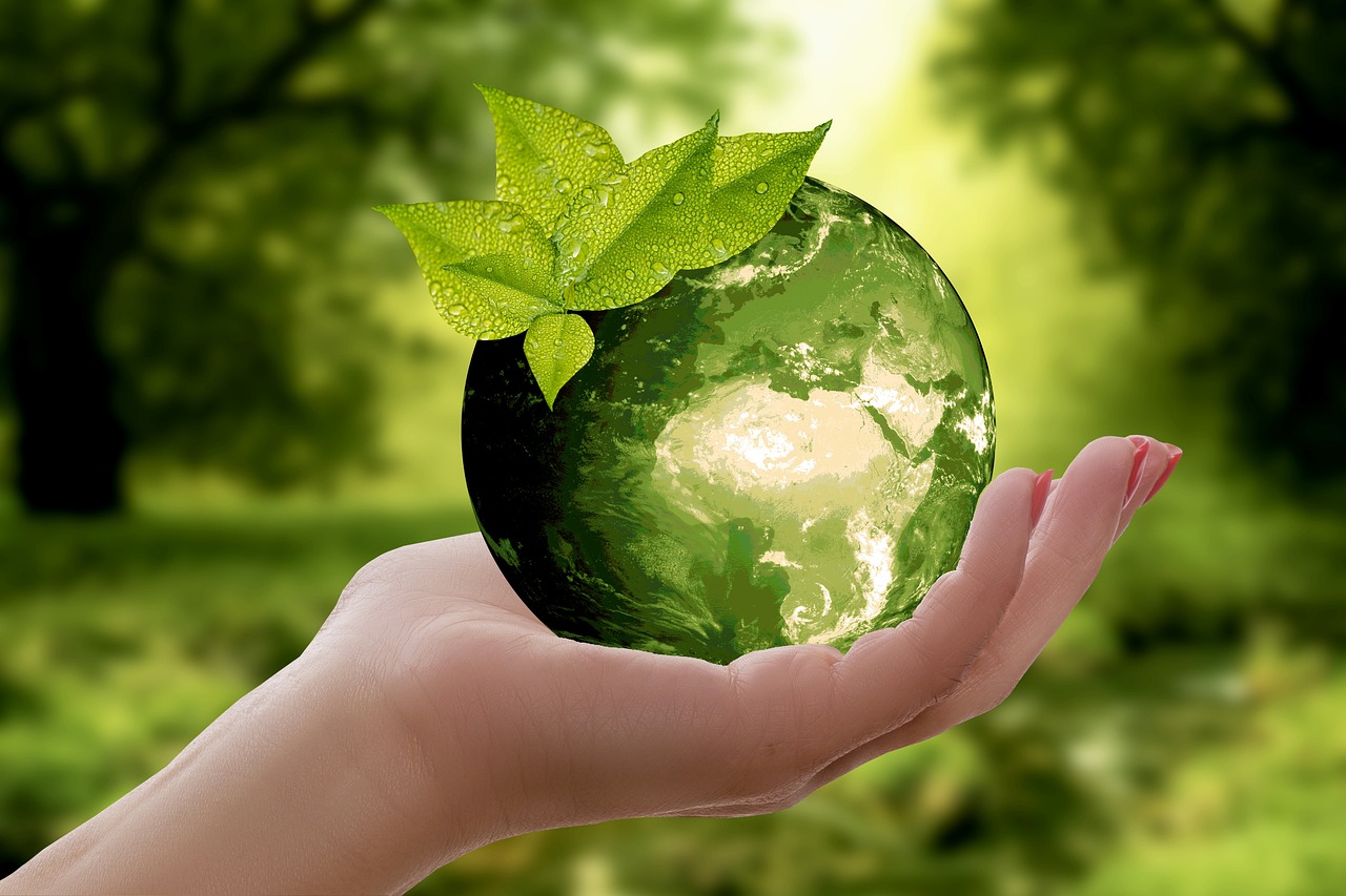 Sustainable Practices in the Smiths Collection